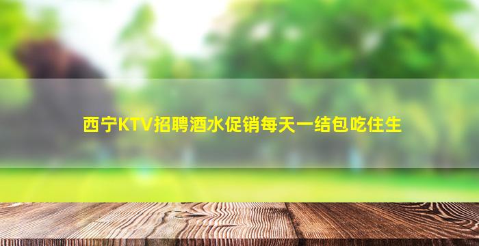 西宁KTV招聘酒水促销每天一结包吃住生